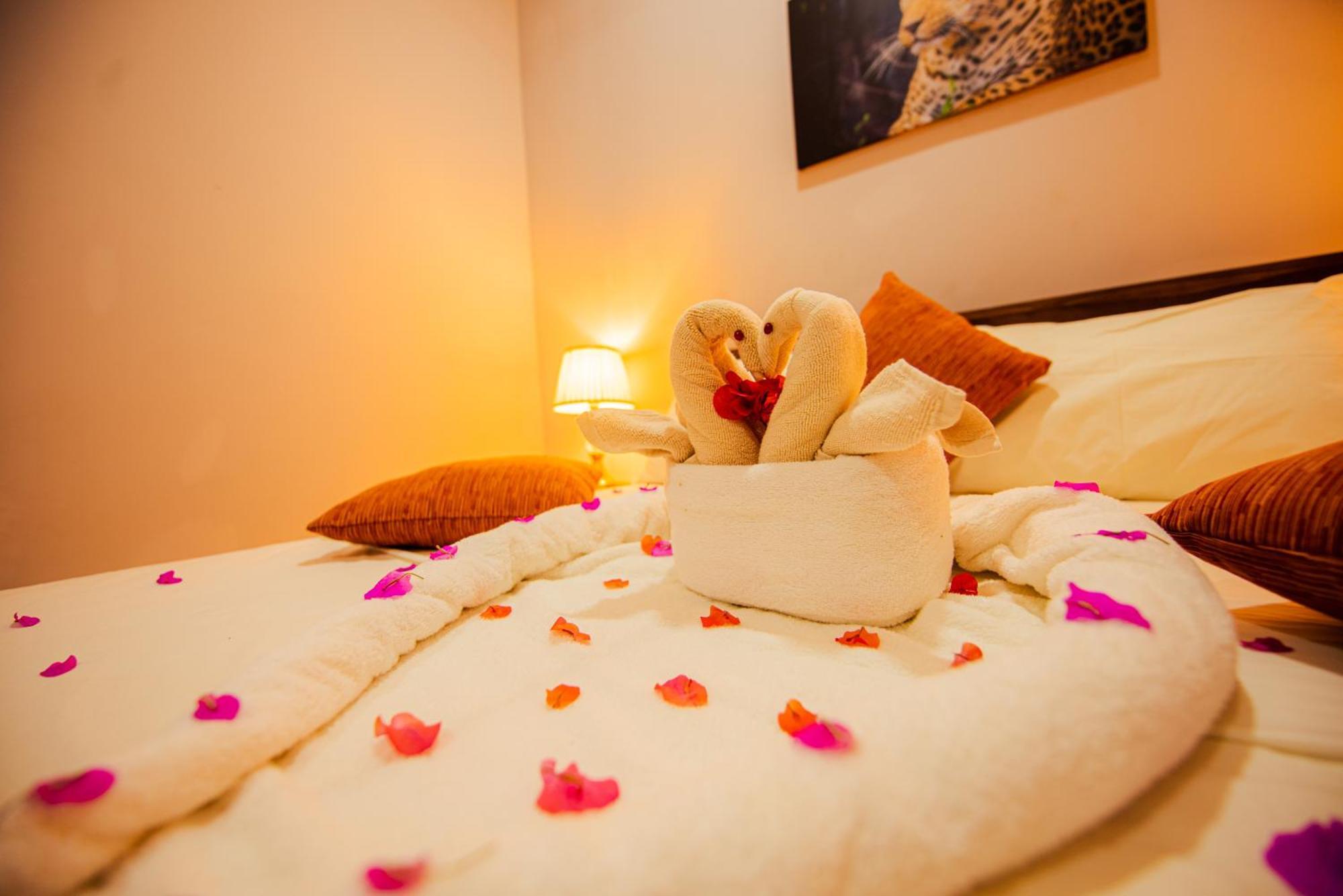 C B S Resort Udawalawe Eksteriør billede